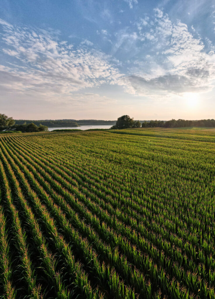 AdobeStock 451558261 scaled e1704241590466